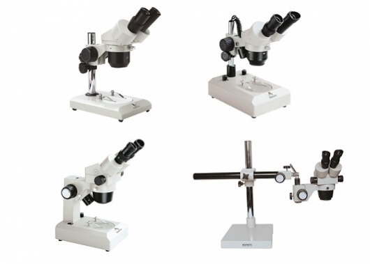 Stereo Microscopes